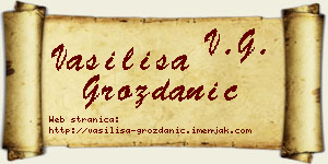 Vasilisa Grozdanić vizit kartica